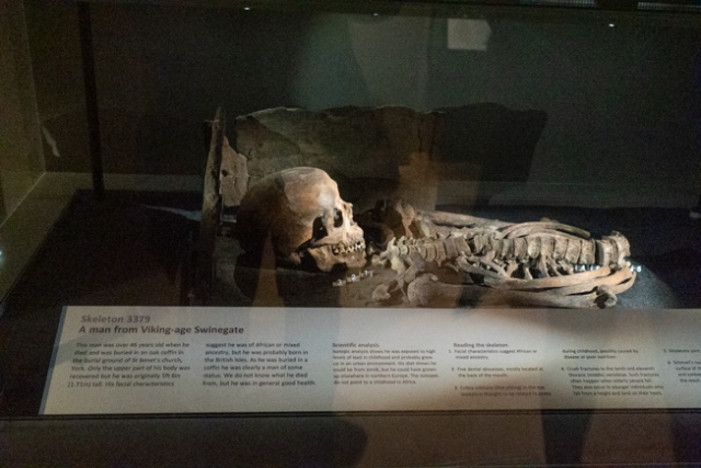 Possible African or mixed ancestry skeleton found in Jorvik
